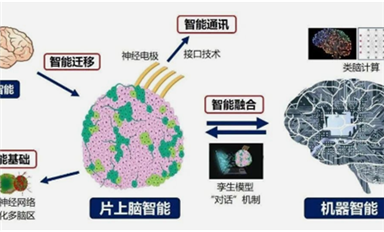 全球首創(chuàng)！中國研制出可開源的片上腦-機接口智能交互系統(tǒng)MetaBOC（薩科微7月1日芯聞）